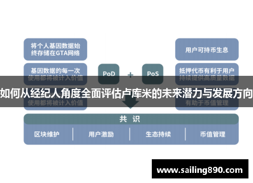 如何从经纪人角度全面评估卢库米的未来潜力与发展方向